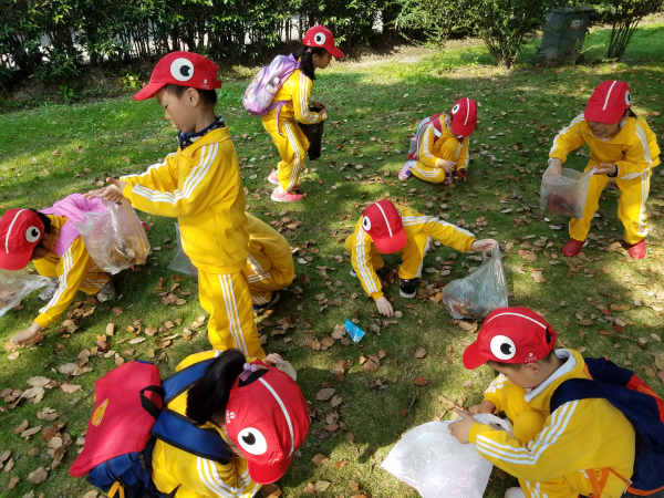 9916_636462014110477639_l.jpg